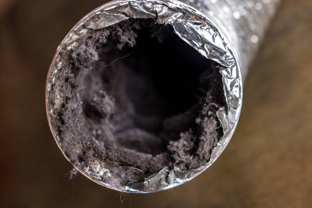 Best Affordable HVAC Duct Cleaning  in Lake Riverside, CA